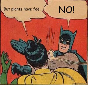 plants have feelings